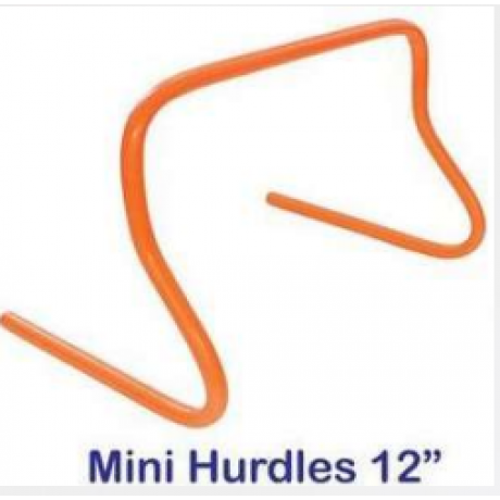 Mini Hurdles 12"